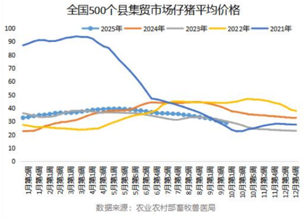 华夏理财 仔猪价格又见新低 跌破30元大关
